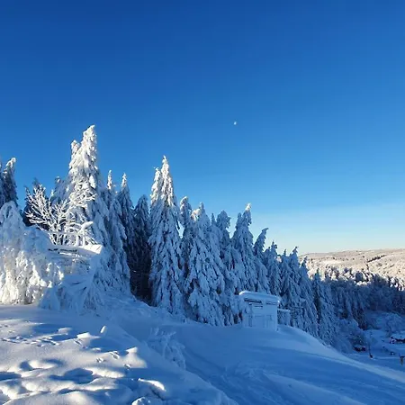 Haus Schneider דירה