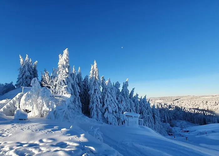 Haus Schneider Apartamento