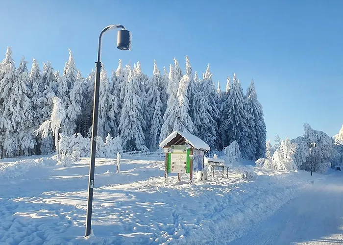 Apartamento Haus Schneider Winterberg